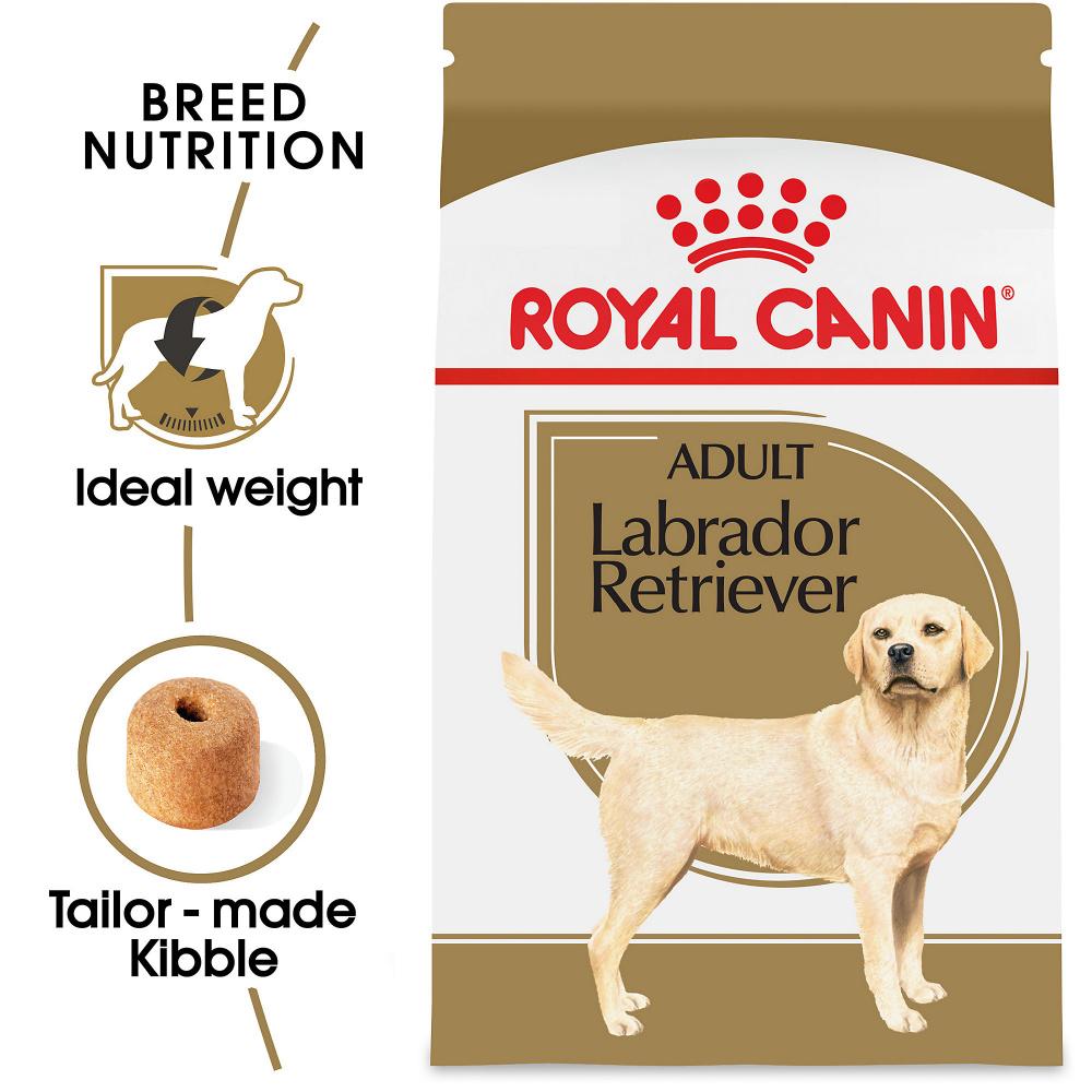  CANIN Labrador Retriever ドライフード Royal Canin Breed Health Nutrition Labrador Retriever Adult Dry