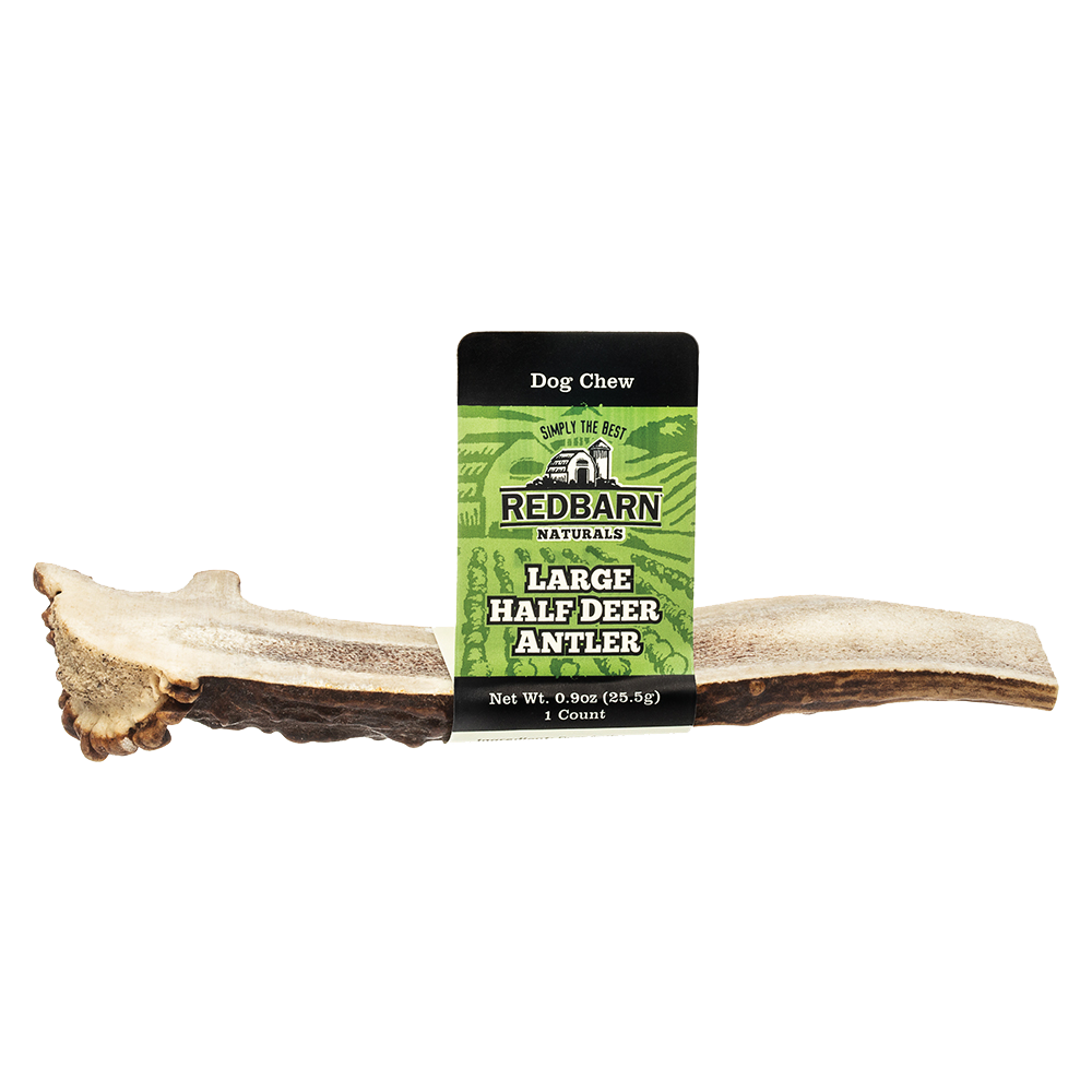 are deer antler dog chews safe