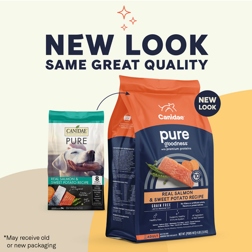 Salmon and sweet potato grain free dog clearance food