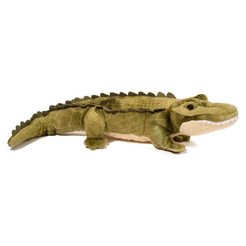 Douglas Cuddle Toy Stream Line Alligator