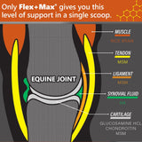 Absorbine Flex+Max® Joint Health Supplement