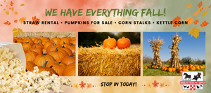 Watercolored background in fall colors,  strip of frames containing pumpkins, straw bales, corn stalks, and a popcorn overlay. Text Reads"We have Everything Fall! Straw rental, pumpkins for sale, corn stalks, and kettle corn" Bottom text reads "Stop in Today"