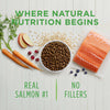 Nature's Variety Instinct Be Natural Salmon & Brown Rice Recipe Dry Dog Food