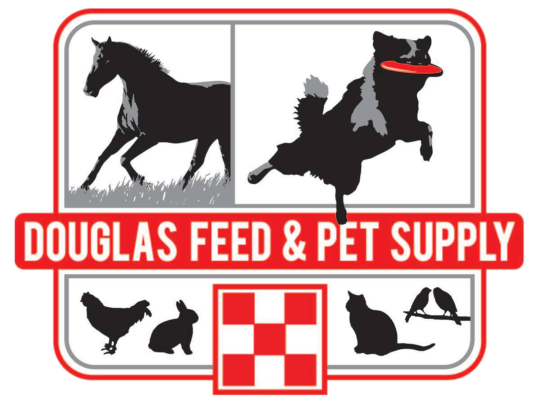 Departments Granite Bay, CA Douglas Feed and Pet Supply Pickup