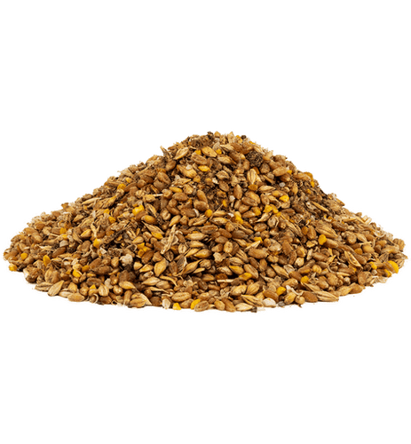 Scratch and Peck Feeds Organic Layer Feed 16% Protein + Corn For Chickens & Ducks