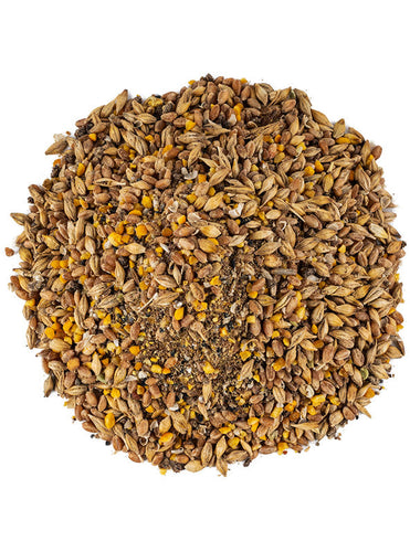 Scratch and Peck Feeds Organic Layer Feed 18% Protein + Corn For Chickens & Ducks