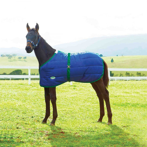 Weatherbeeta 420D Growing Foal Blanket