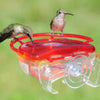 Aspects Gem Hummingbird Window Feeder
