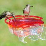 Aspects Gem Hummingbird Window Feeder