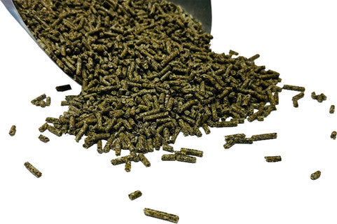 BAR Ale 16% Layer Pellet - Non-GMO Corn-Free Soy-Free