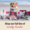 The Honest Kitchen Gourmet Beef Liver & Cheddar Chips Dog Treats
