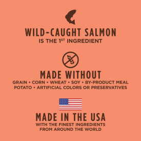 Nature's Variety Instinct Original Salmon Dry Dog Food