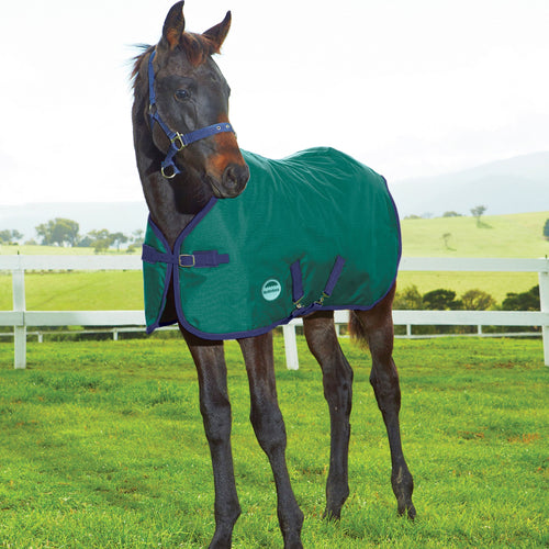 WEATHERBEETA 1200D FOAL STANDARD NECK MEDIUM II HUNTER/NAVY 51 (1 Count)