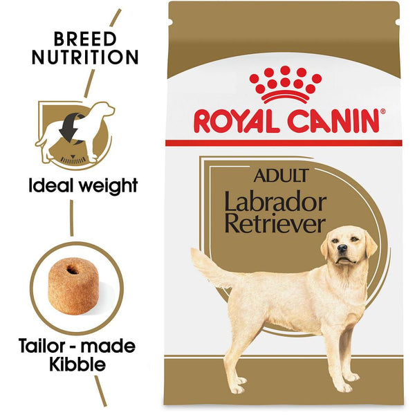 Best dry dog shop food for labrador retrievers