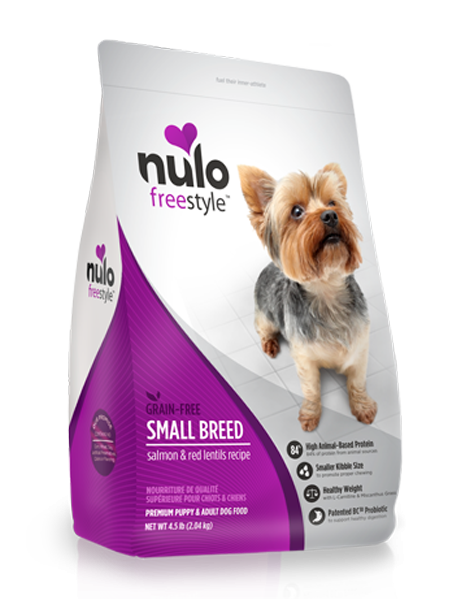 Best dry dog food for 2024 yorkshire terrier