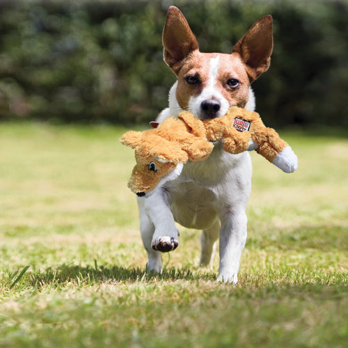 Kong Scrunch Knots Squirrel  Dog Toy (Medium/Large)