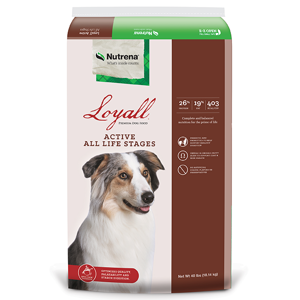 Nutrena lamb and rice dog outlet food