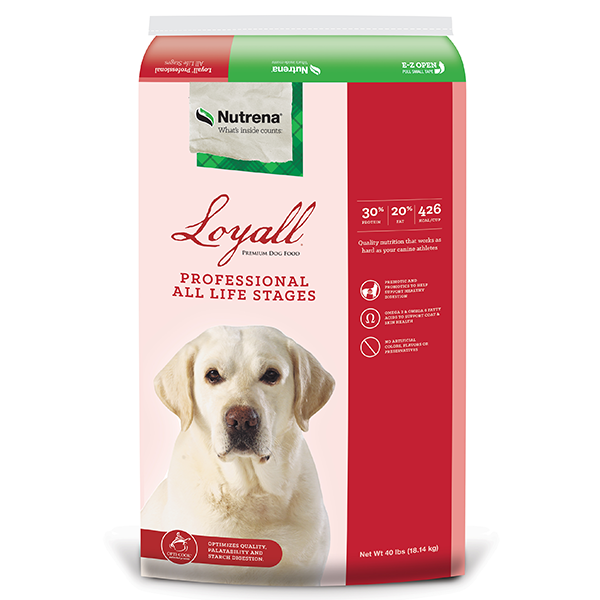 Nutrena hot sale puppy food
